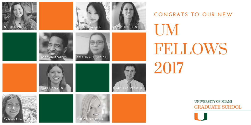 Welcome 2017 UM Fellows
